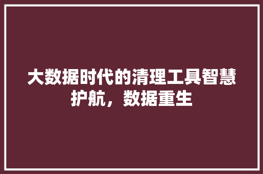 大数据时代的清理工具智慧护航，数据重生  第1张