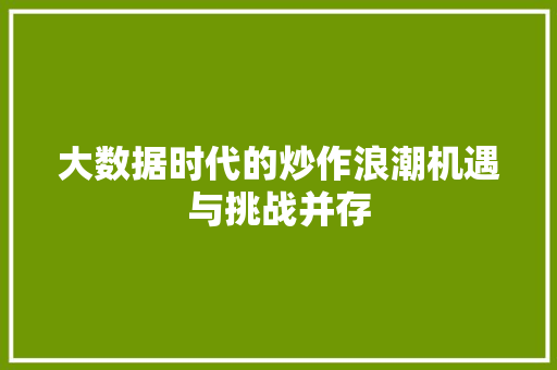 大数据时代的炒作浪潮机遇与挑战并存  第1张
