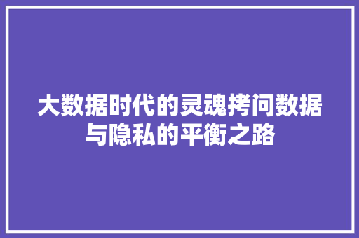 大数据时代的灵魂拷问数据与隐私的平衡之路  第1张