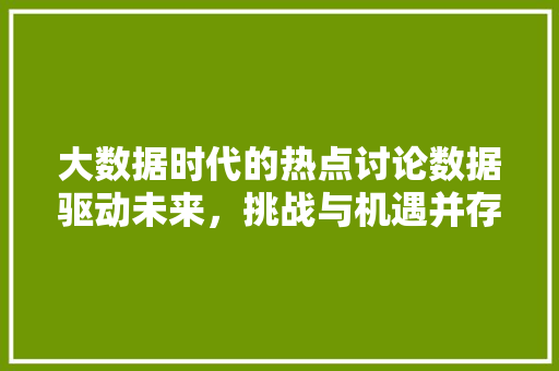 大数据时代的热点讨论数据驱动未来，挑战与机遇并存  第1张