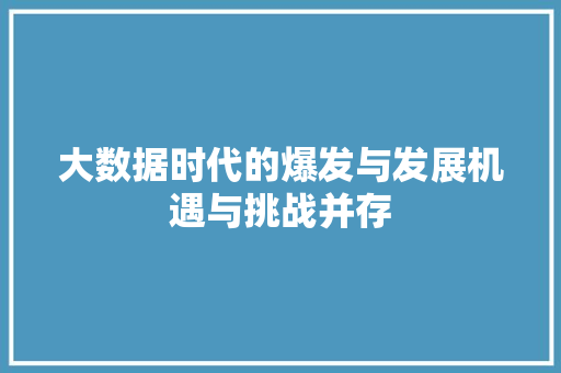 大数据时代的爆发与发展机遇与挑战并存  第1张