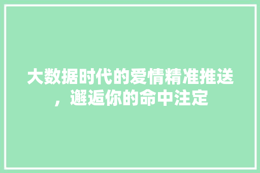 大数据时代的爱情精准推送，邂逅你的命中注定  第1张