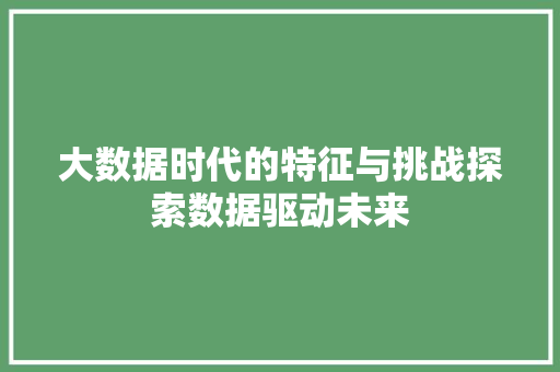 大数据时代的特征与挑战探索数据驱动未来  第1张