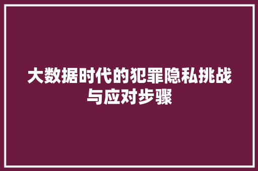 大数据时代的犯罪隐私挑战与应对步骤  第1张