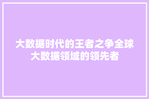 大数据时代的王者之争全球大数据领域的领先者  第1张