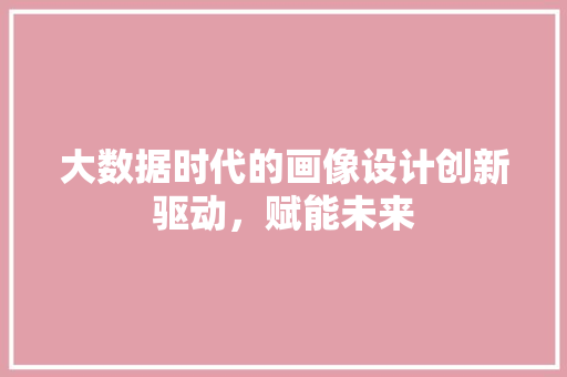 大数据时代的画像设计创新驱动，赋能未来  第1张