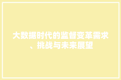 大数据时代的监督变革需求、挑战与未来展望  第1张
