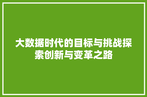 大数据时代的目标与挑战探索创新与变革之路