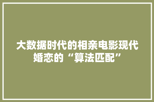 大数据时代的相亲电影现代婚恋的“算法匹配”  第1张