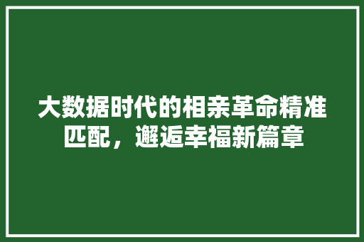 大数据时代的相亲革命精准匹配，邂逅幸福新篇章  第1张