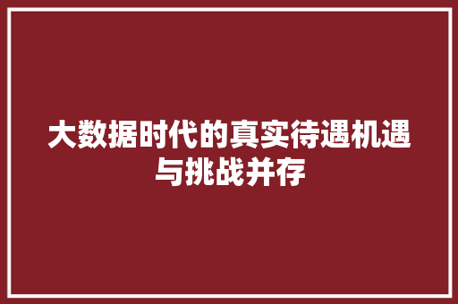 大数据时代的真实待遇机遇与挑战并存  第1张