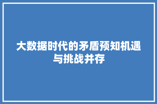 大数据时代的矛盾预知机遇与挑战并存