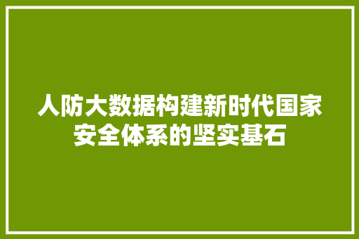 人防大数据构建新时代国家安全体系的坚实基石