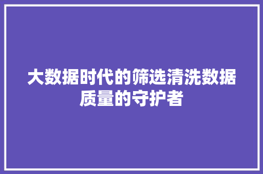 大数据时代的筛选清洗数据质量的守护者  第1张
