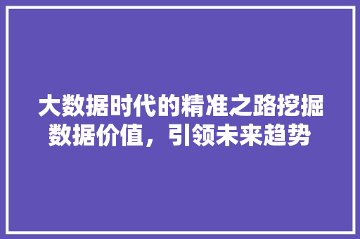 大数据时代的精准之路挖掘数据价值，引领未来趋势  第1张