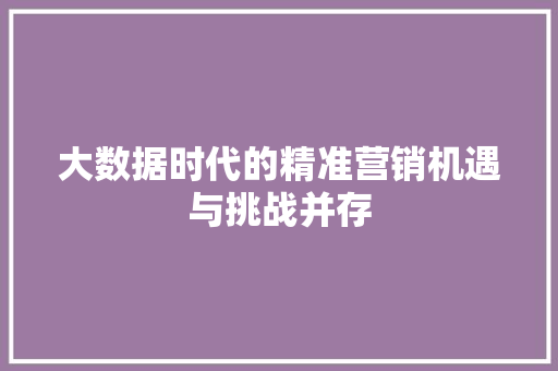 大数据时代的精准营销机遇与挑战并存  第1张