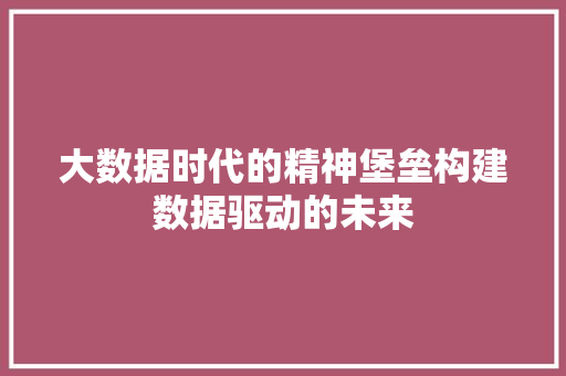 大数据时代的精神堡垒构建数据驱动的未来