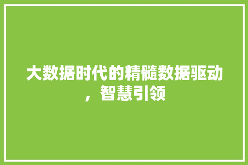 大数据时代的精髓数据驱动，智慧引领  第1张