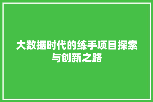 大数据时代的练手项目探索与创新之路