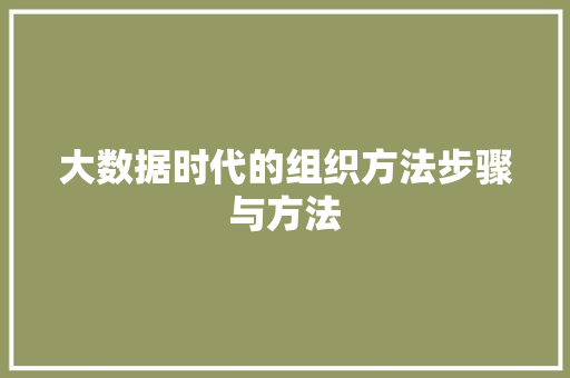 大数据时代的组织方法步骤与方法