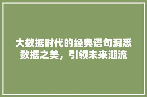 大数据时代的经典语句洞悉数据之美，引领未来潮流