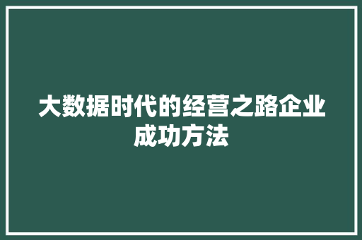 大数据时代的经营之路企业成功方法  第1张