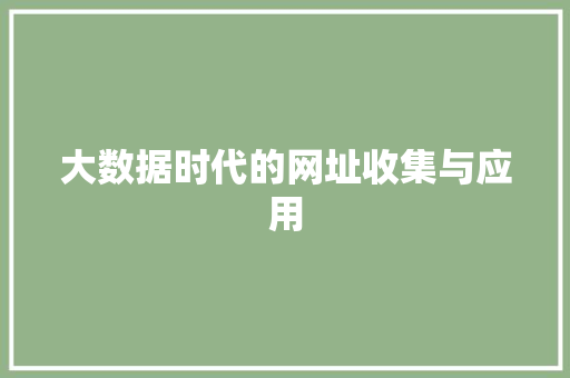 大数据时代的网址收集与应用