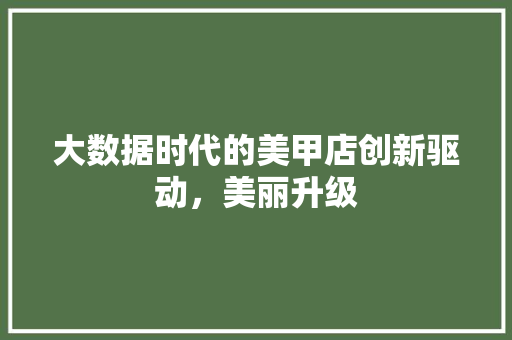 大数据时代的美甲店创新驱动，美丽升级