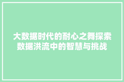 大数据时代的耐心之舞探索数据洪流中的智慧与挑战  第1张