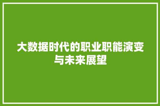 大数据时代的职业职能演变与未来展望  第1张
