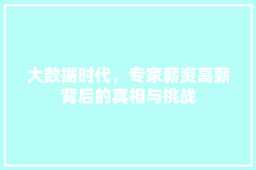 大数据时代，专家薪资高薪背后的真相与挑战  第1张