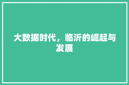 大数据时代，临沂的崛起与发展