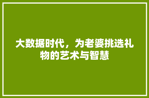 大数据时代，为老婆挑选礼物的艺术与智慧