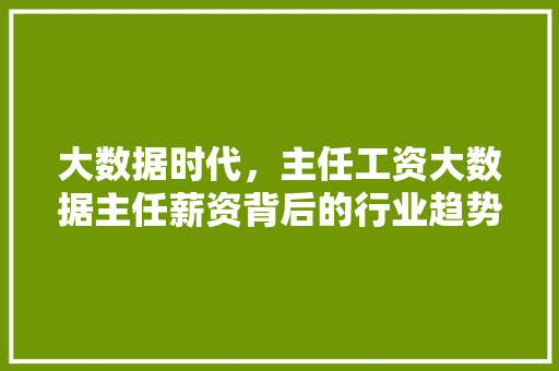 大数据时代，主任工资大数据主任薪资背后的行业趋势与价值  第1张