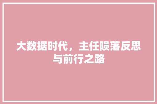 大数据时代，主任陨落反思与前行之路  第1张