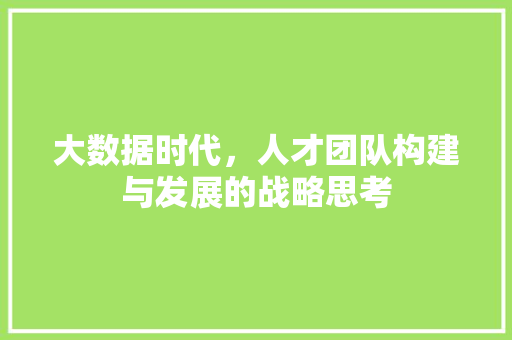 大数据时代，人才团队构建与发展的战略思考  第1张