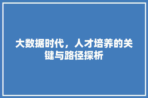 大数据时代，人才培养的关键与路径探析