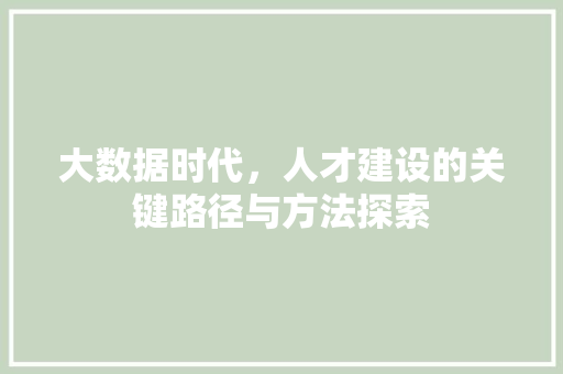 大数据时代，人才建设的关键路径与方法探索  第1张