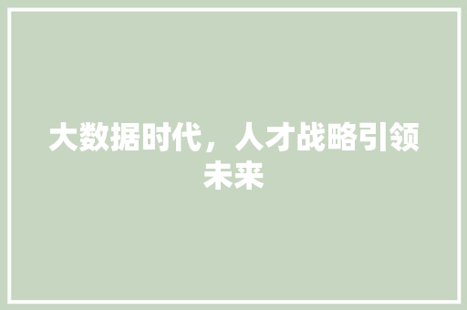 大数据时代，人才战略引领未来  第1张