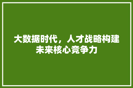 大数据时代，人才战略构建未来核心竞争力  第1张