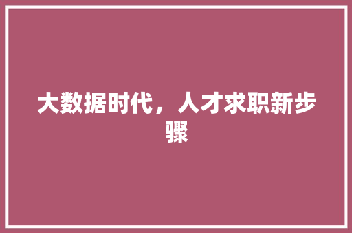 大数据时代，人才求职新步骤  第1张