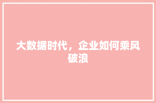大数据时代，企业如何乘风破浪  第1张