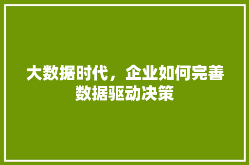 大数据时代，企业如何完善数据驱动决策  第1张