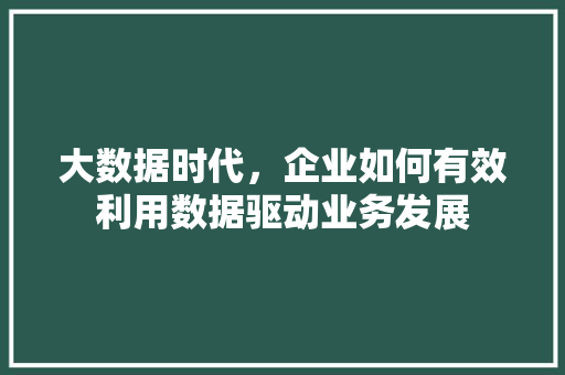 大数据时代，企业如何有效利用数据驱动业务发展  第1张