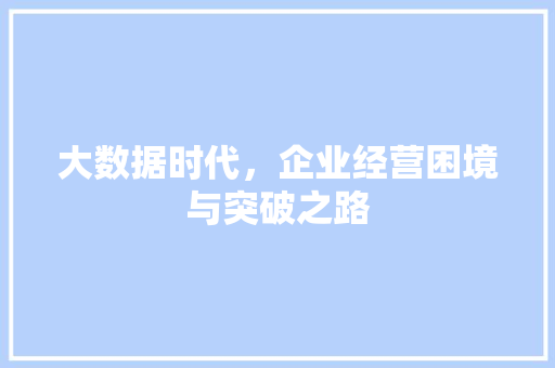 大数据时代，企业经营困境与突破之路  第1张