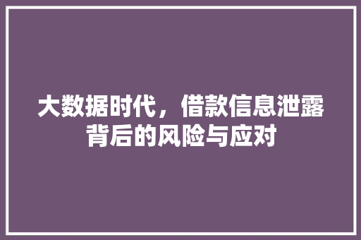 大数据时代，借款信息泄露背后的风险与应对