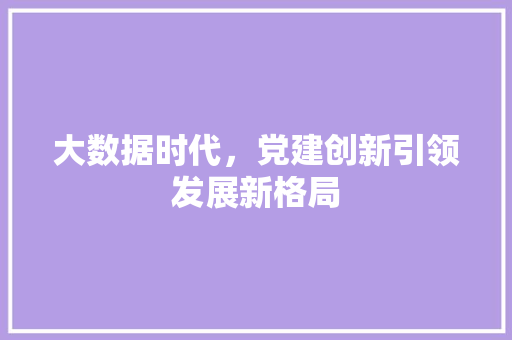 大数据时代，党建创新引领发展新格局