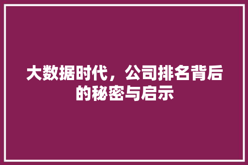 大数据时代，公司排名背后的秘密与启示  第1张