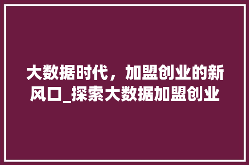 大数据时代，加盟创业的新风口_探索大数据加盟创业的无限可能