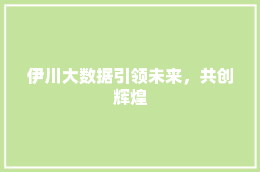 伊川大数据引领未来，共创辉煌